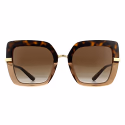 Dolce & Gabbana Sunglasses DG4373 325613 Top Havana Transparent Brown Gradient