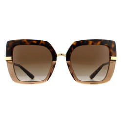 Dolce & Gabbana Sunglasses DG4373 325613 Top Havana Transparent Brown Gradient