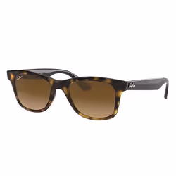 Ray-Ban RB4640, Adult, Unisex, Square, Tortoise, Polarized lens, Nylon