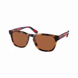 Ralph Lauren PH4170-530373 PH4170 53 530373 Sunglasses