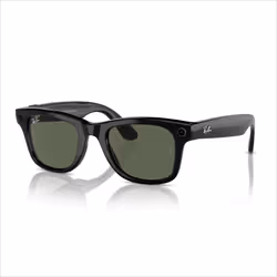 Meta Ray-Ban Smart Glasses Wayfarer Shiny Black / G15 Green Regular