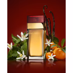 Dolce&Gabbana Pour Femme Eau de Toilette 100 ml - Additional view 4