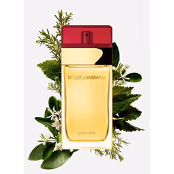 Dolce&Gabbana Pour Femme Eau de Toilette 100 ml - Additional view 5