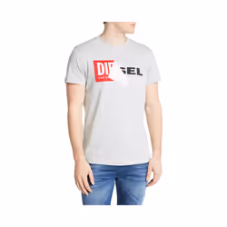 DIESEL T DIEGO QA Mens T Shirt Casual Cotton Tee - L, Grey
