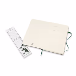 Moleskine Classic writing notebook 240 sheets Green