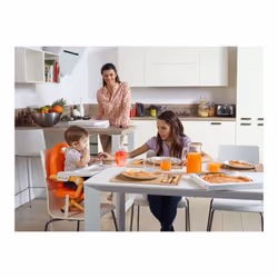 Chicco Pocket Snack Booster high chair Hard seat Grey
