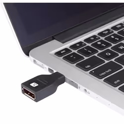 Techly IADAP DP-MDP2 cable gender changer DisplayPort Mini DisplayPort Black