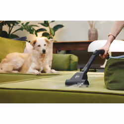 Hoover HP120PET 001 2 L Cylinder vacuum Dry 700 W Bagless