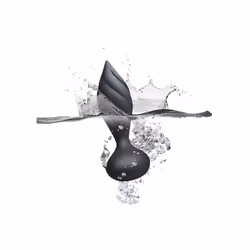 Rocks Off Petite Sensations Desire Remote Control Butt Plug