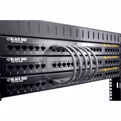 Black Box 6" CAT6, 0.1229 m, Cat6, RJ-45, RJ-45, Grey
