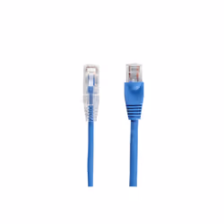 Black Box CAT6A 0.6m networking cable Blue U/UTP (UTP)