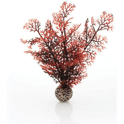 biOrb Sea Fan, Small, Crimson