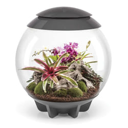 biOrb AIR 60 Litre Automatic Terrarium in Grey with LED Lighting