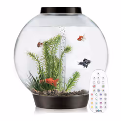 BiOrb Classic 105L Aquarium in Black with MCR LED Lighting