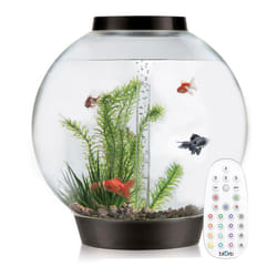 BiOrb Classic 105L Aquarium in Black with MCR LED Lighting