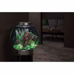 BiOrb Classic 105L Aquarium in Silver with MCR LED Lighting
