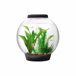 Baby BiOrb 15L Aquarium in Black with MCR LED Lighting