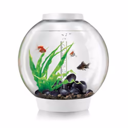 BiOrb Classic 60L Aquarium in White with MCR LED Lighting