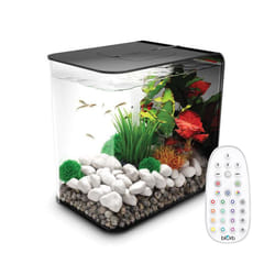 biOrb FLOW 15L Aquarium in Black with MCR LED Lighting