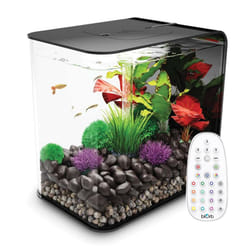 biOrb FLOW 30L Aquarium in Black with MCR LED Lighting