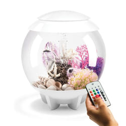 Biorb Halo 15L Aquarium in White with MCR LED Lighting