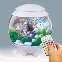 Biorb Halo 15L Aquarium in White with MCR LED Lighting