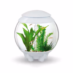 Biorb Halo 15L Aquarium in White with MCR LED Lighting