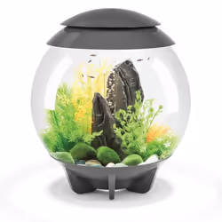 BiOrb Halo 30L Aquarium in Grey with MCR LED Lighting