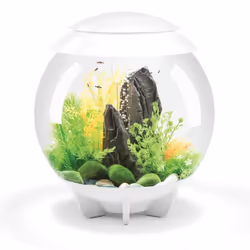 BiOrb Halo 30L Aquarium in White with MCR LED Lighting