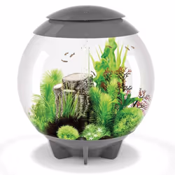 BiOrb Halo 60L Aquarium in Grey with MCR LED Lighting