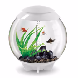 BiOrb Halo 60L Aquarium in White with MCR LED Lighting