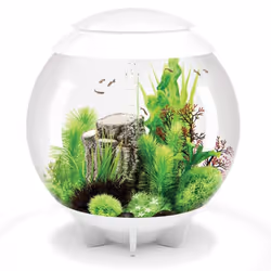 BiOrb Halo 60L Aquarium in White with MCR LED Lighting