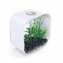 BiOrb Life 30 L White Aquarium Fish Tank with Multi Colour LED Lighting