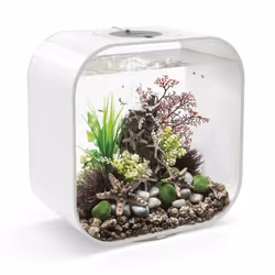 BiOrb Life 30 L White Aquarium Fish Tank with Multi Colour LED Lighting