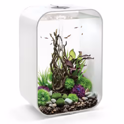 BiOrb LIFE 60L White Aquarium Fish Tank with Multi Colour LED Lighting