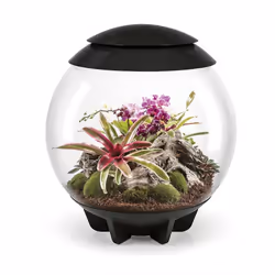 biOrb AIR 60 Litre Automatic Terrarium in Black with LED Lighting