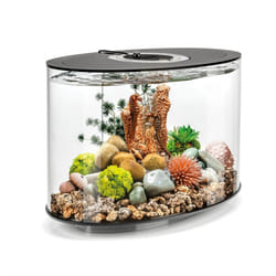 biOrb Loop 15L Fish Aquarium MCR Lighting LED Black