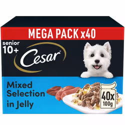 40 x 100g Cesar Sauce Selection Adult Wet Dog Food Pouches Mixed in Jelly