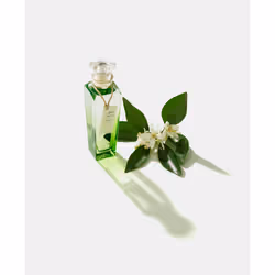 Adolfo Dominguez Agua Fresca de Azahar Eau De Toilette 120 ml - Additional view 4