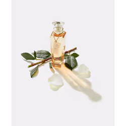 Adolfo Dominguez Agua Fresca de Rosas Blancas Eau De Toilette 120ml - Additional view 4