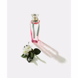 Adolfo Dominguez Agua Fresca de Gardenia Musk Eau De Toilette 120ml - Additional view 4