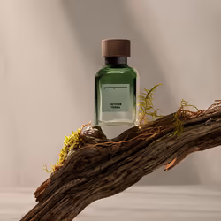 Vetiver Terra eau de parfum spray 200 ml - Additional view 4