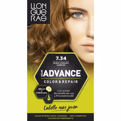 Llongueras Color Advance 7.34 Golden Dark Blond, Blonde, Golden Dark Blond, Women, All hair, Color-retaining, Nourishing, Shi ...