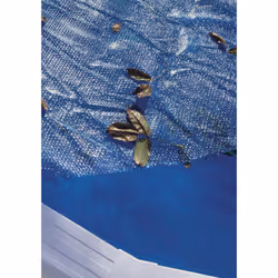 Gre CPROV505 Pool Covering Pool solar cover