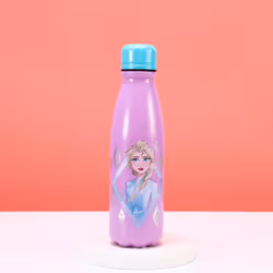 Frozen Children's Aluminum Reusable Water Bottle 600ml