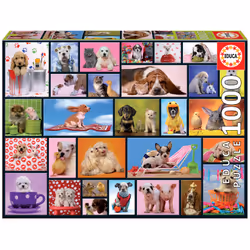 Educa 15518, 1000 pc(s), 12 yr(s)