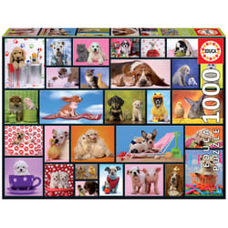 Educa 15518 puzzle 1000 pc(s)