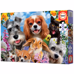 Educa 19293 puzzle Jigsaw puzzle 200 pc(s) Other