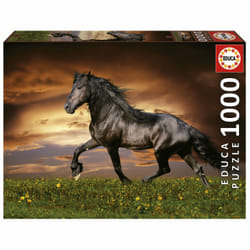Educa 19555 puzzle Jigsaw puzzle 1000 pc(s) Other