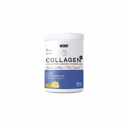 Collagen Plus. Powder Preparation with Collagen peptides (Peptan), hyaluronic Acid, Magnesium and Vitamin C. 100% Peptan. Fat ...